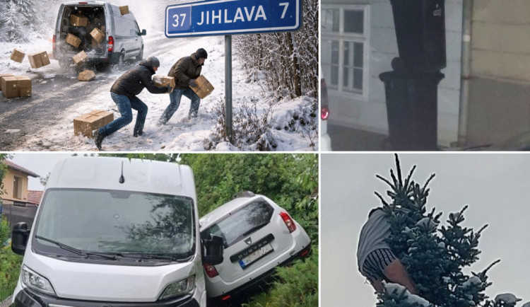 Bizáry roku 2025 na Jihlavsku: muži na stromech, opilci v bytech i balíky na silnici