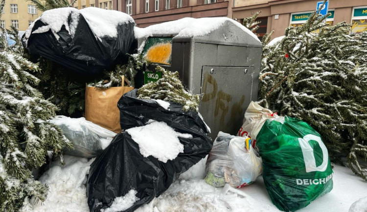 Lidi v Hradci Králové štvou krávy, rozbité silnice i přeplněné koše