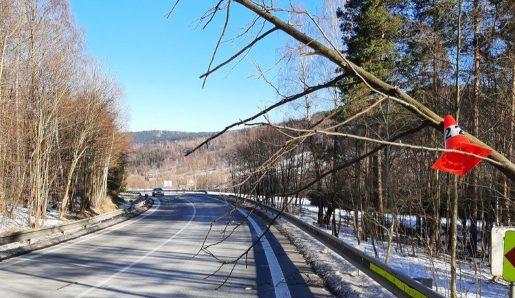 Já za to nemůžu. Kamion narazil do vyvráceného stromu, který byl vidět na sto metrů