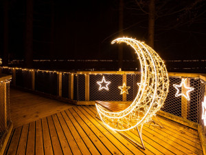 Stezka korunami stromů se rozsvítí ve velkém. Připravuje Světelné zimní hry