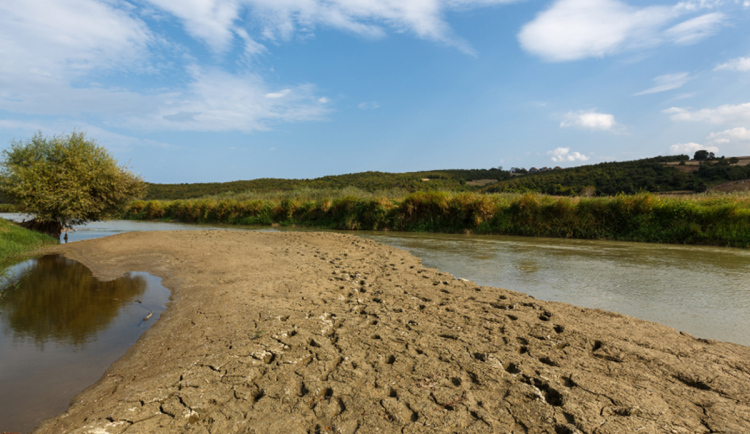 Extrémně suchý rok 2025: Na Vysočině byl deficit miliarda kubíků vody