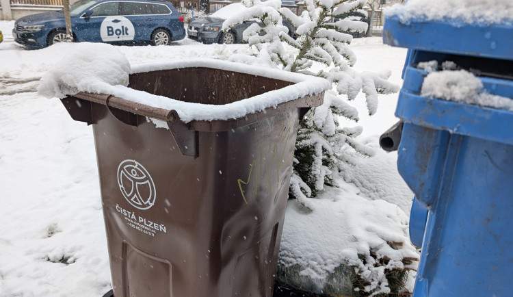 Hnědé popelnice na bioodpad brzy zmizí, naopak přibudou velkoobjemové kontejnery