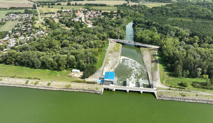 Za loňským úhynem ryb v Dyji byl nedostatek kyslíku, potvrdila studie