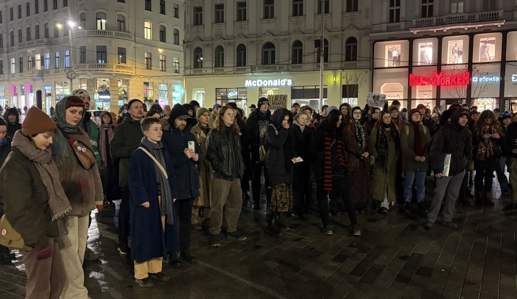 Nechceme mafiány ve vládě, zaznělo v Brně. Demonstrovalo přes sto lidí