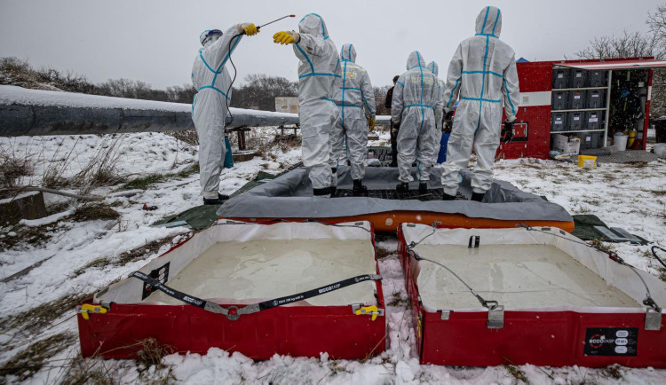 likvidace patčí chřipky_HZS KHK