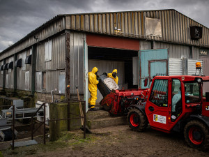 Hasiči v Kosičkách na Hradecku pokračují v likvidaci chovu s ptačí chřipkou