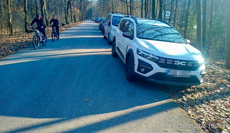 Hradečtí strážníci museli v uplynulých dnech řešit hromadné porušování předpisů v hradeckých lesích.
