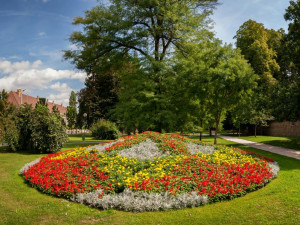 V Hradci Králové začal jarní úklid, zahradníci pokácí jasany u Klicperova divadla