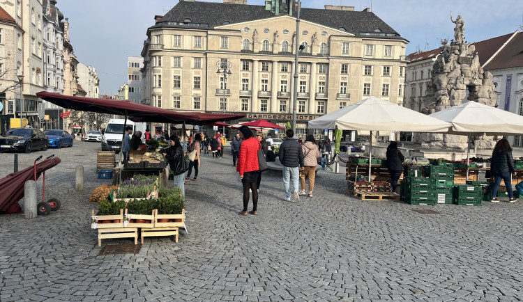 FOTO: Zelný trh po zimě ožívá. Lidé tam nakoupí bylinky nebo sazenice