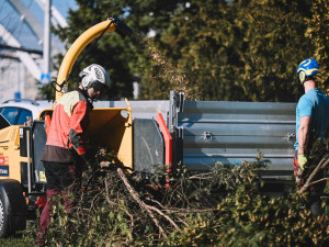 ZDENEK PUS - zdenek.fotografuje@gmail.com