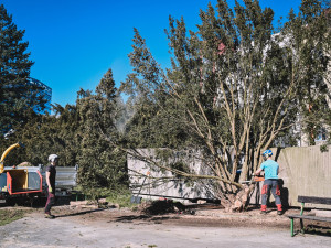 ZDENEK PUS - zdenek.fotografuje@gmail.com