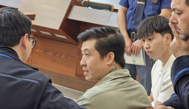 Soud potvrdil muži 18 let za útok sekáčkem na těhotnou ženu a jejího muže