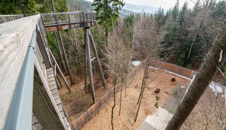 17745244245049-103-a