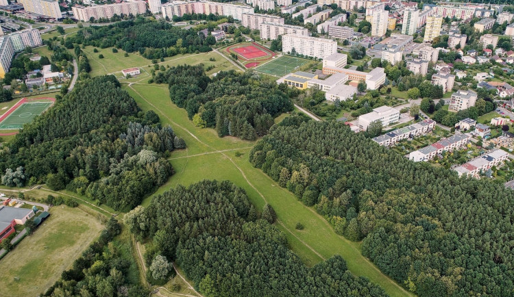 size4-17739209022539-207-hradecane-se-spoji-pro-dobrou-vec-zbavi-lesopark-na-moravskem-predmesti-odpadku