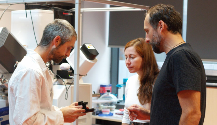 Pomoc špičkových odborníků pro firmy za hubičku? Nabízí ji liberecká univerzita