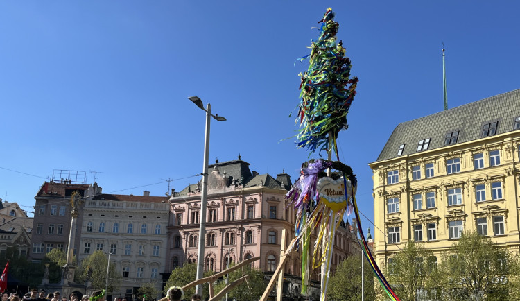 VIDEO: Studenti v Brně odstartovali majálesové oslavy. V centru postavili májku