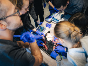 Proč záchranáři nakupují v řeznictví? Učí se zachraňovat životy