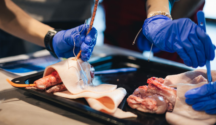 669286765_1381163214055916_8094174614848530920_n