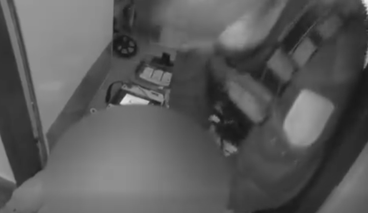 Snímek obrazovky 2026-04-10 v 11.58.57