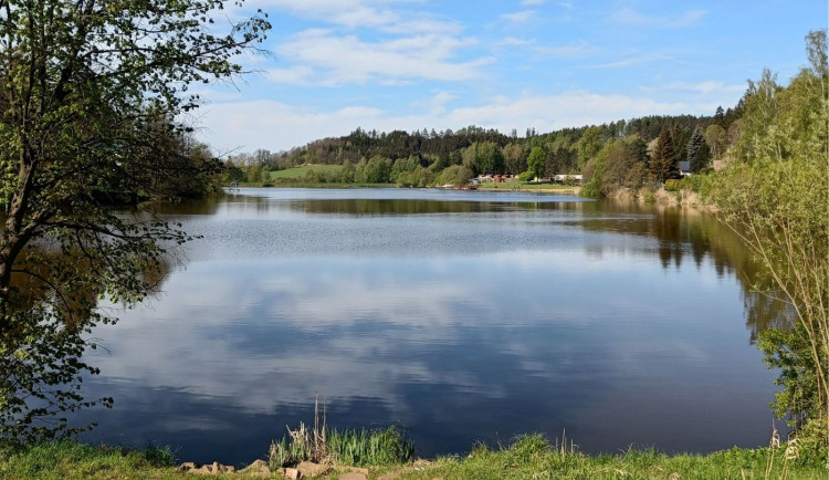 Dravé ryby by na Dolcích u Trutnova měly pomoci eliminovat sinice