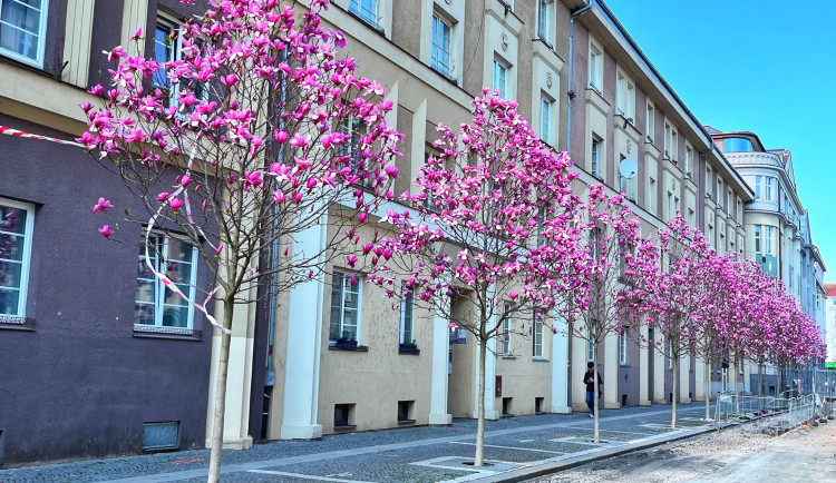 Teploty porostou až k dvacítce. Týden ale přinese i déšť a přeháňky