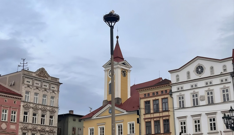 Dnes ráno byl na uměle vytvořeném hnízdě znovu spatřen čáp, což naznačuje, že by nové místo mohl přece jen přijmout.