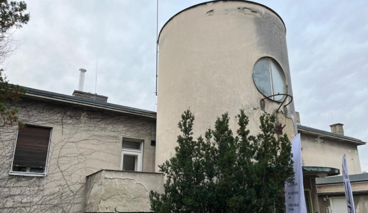 Dobrovolníci pracovali na obnově zahrady brněnské vily Wittal. Další brigáda se chystá na podzim