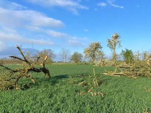 FOTO: Na Jičínsku se objevilo první letošní tornádo. Bylo slabé, ale viditelné