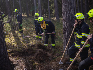 Požár v hradeckých lesích? Jde jen o cvičení hasičů