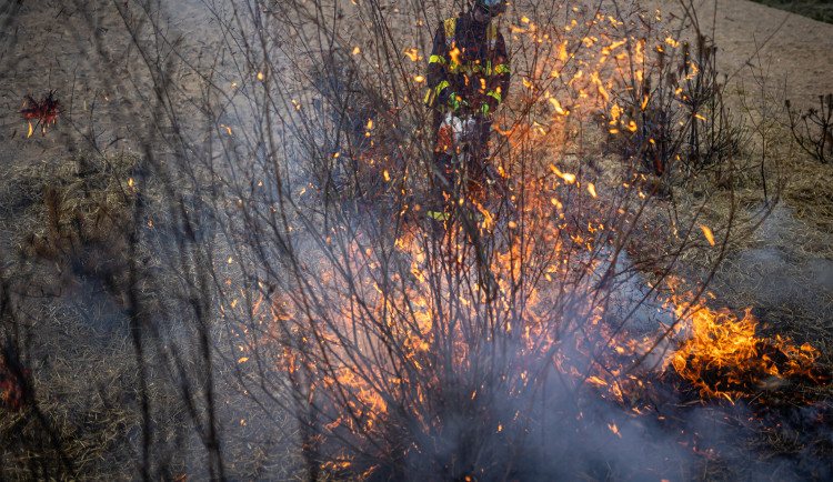 V Městských lesích Hradce Králové se dnes rozjede netradiční výcvik profesionálních hasičů.