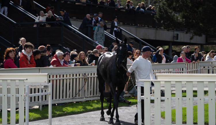 Na chuchelském závodišti má vystoupit rapper Ye, koně dočasně přesunou