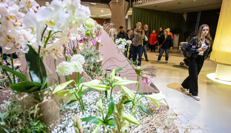 FOTO: V Olomouci se rozezněly Tóny Flory. Na výstaviště od rána proudily davy