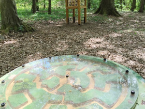FOTO: Kam s dětmi? Třebechovice lákají na hry i odpočinek v lese