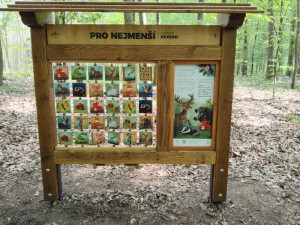 FOTO: Kam s dětmi? Třebechovice lákají na hry i odpočinek v lese