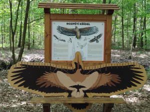 FOTO: Kam s dětmi? Třebechovice lákají na hry i odpočinek v lese