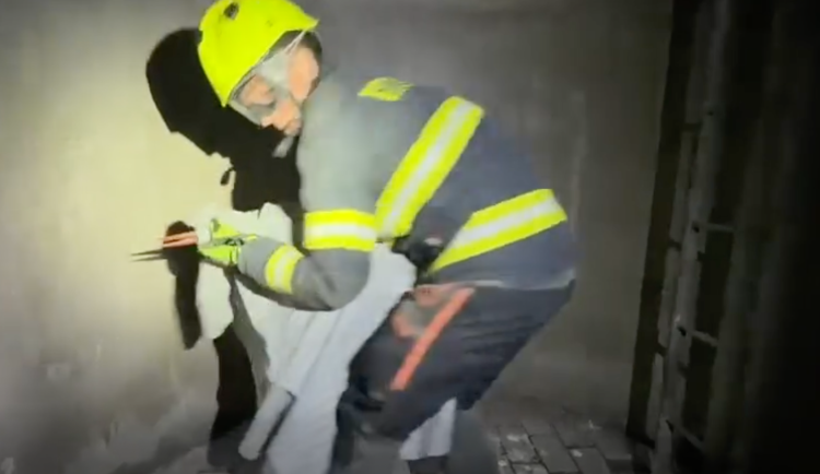VIDEO: Čáp propadl továrním komínem. Hasiči ho vytáhli živého