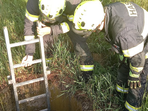 FOTO: Hasiči v Předměřicích zachránili psa. Spadl do hluboké skruže
