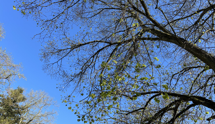 Po letních teplotách přijde ochlazení. Déšť a přeháňky dorazí už v úterý