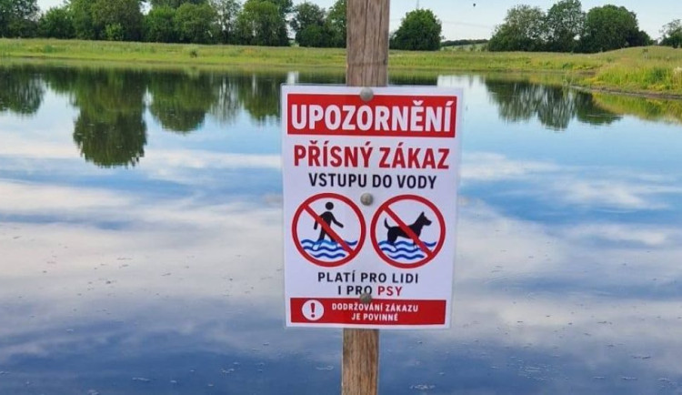 Proč u Vrbátek uhynul pes? Rozbory potvrdily, že v jezírku jsou velmi jedovaté sinice