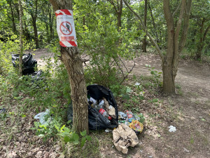 Opaťák má nového majitele: ploty stavět nechce, žádá konec nepořádku a vraků v lese