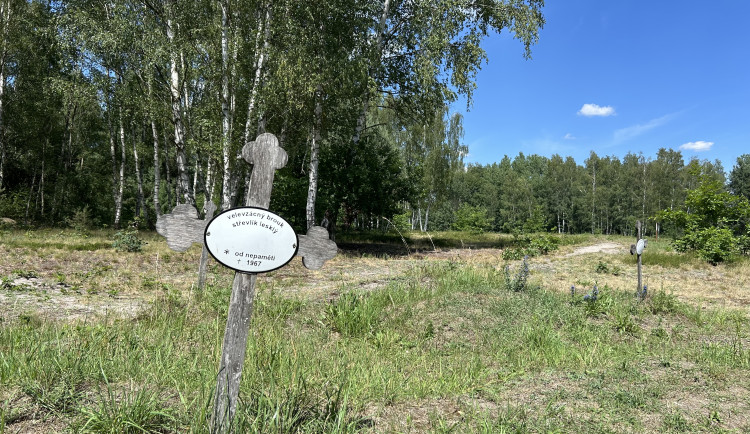Přírodní památka Na Plachtě