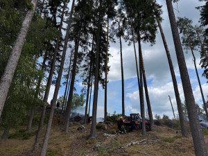 Neuhašený oheň může změnit les v popel. Hasiči varují před častou chybou