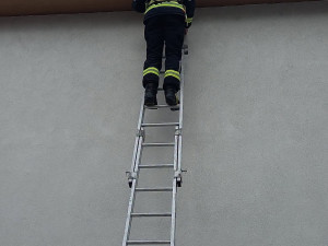 Hasiči o víkendu zachraňovali ovci z mokřadu i ptáče uvězněné v okapu