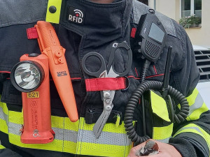Hasiči o víkendu zachraňovali ovci z mokřadu i ptáče uvězněné v okapu