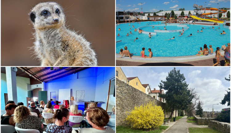 POLITICKÁ KORIDA: Jaké místo v Jihlavě je nejatraktivnější pro turisty?