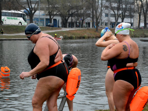 Labe patřilo o víkendu otužilcům. Plaveckých závodů se zúčastnili i zahraniční sportovci