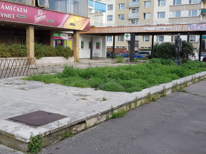 Hvězda patří k nejošklivějším místům Hradce