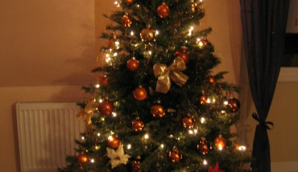 Vánoční stromky