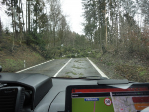 Následky vichřice Sabine v Královéhradeckém kraji