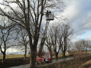 Následky vichřice Sabine v Královéhradeckém kraji